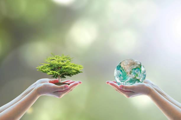 Environmental Initiatives